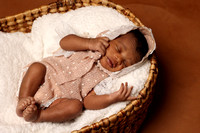 Oreal Perkins Infant Mini Photo Session 2023 PROOFS
