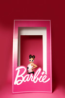 Ashton Harris Basic Photo Session + Add A Outfit, Barbie Box: Color Pink 2022 EDITS